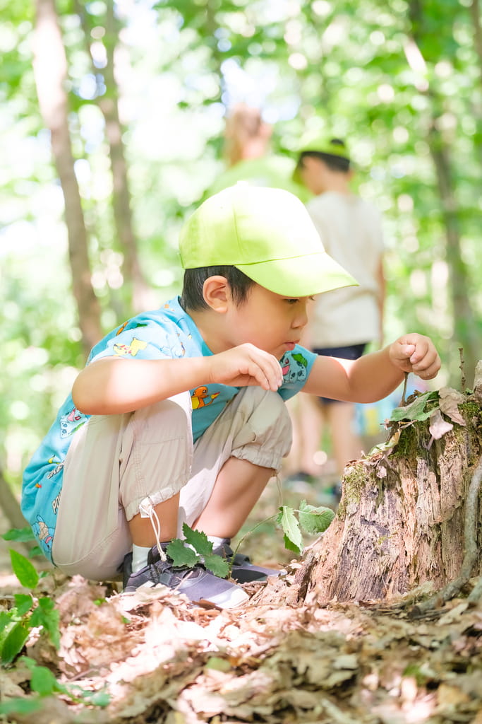 Summer Camps | Prague British International School - Summer Fun Junior