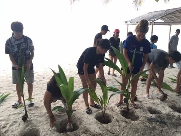 192585paddedw680h435of1f8f4f311jpg