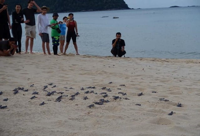 192596paddedw680h435of1f8f4f364361569101569832713901998625183032115986432njpg