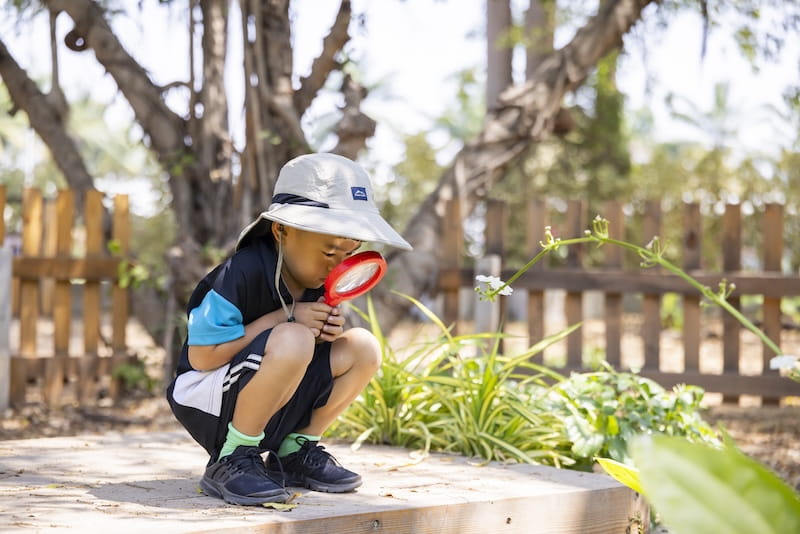 Little Explorers Holiday Camp | Ages 1–6 | Regents International School Pattaya - little-explorers-holiday-camp-pattaya