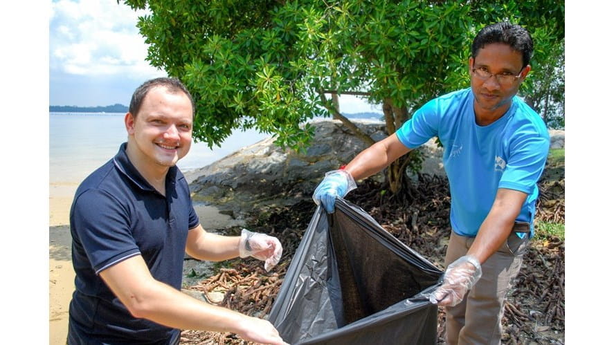 IBO Blog Cover Photo