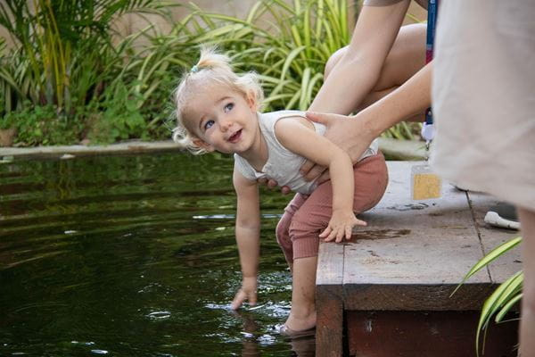 Regents International School Pattaya set to become accredited with The Curiosity Approach - Regents International School Pattaya set to become accredited with The Curiosity Approach