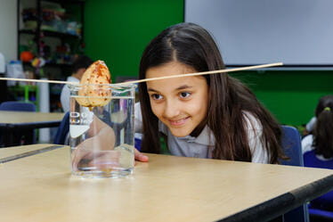 Excelencia Académica | St George School, República Dominicana - Visual Time Line Tabs