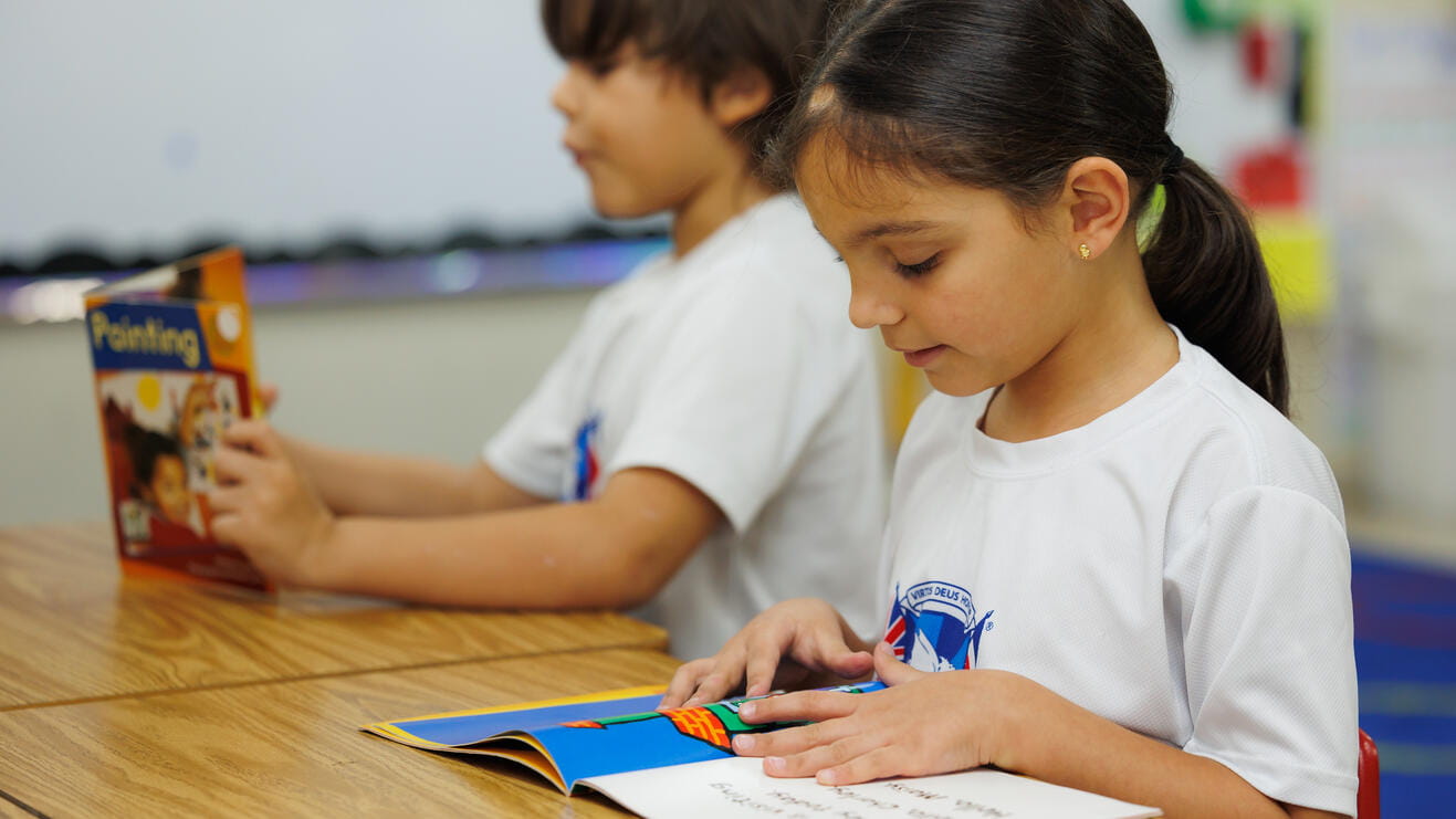 Excelencia Académica | St George School, República Dominicana - Level 2 Page Header With Key Facts