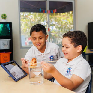 St George School | Escuela internacional en Santo Domingo - Feature Cards Pattern