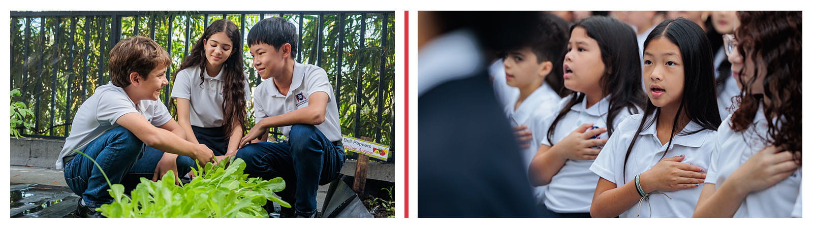 Celebrando el aprendizaje multicultural en Saint George School - Celebrating Multicultura learning