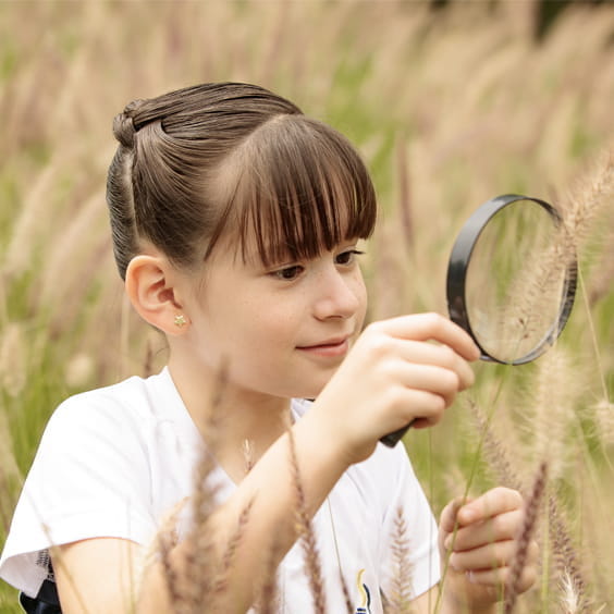 Facilidades en el Campus: Valle Alto | San Roberto | Nord Anglia - ENORMOUS CAMPUS