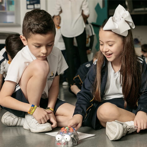 San Roberto International School Monterrey, Mexico | Nord Anglia - Small Text And Image Checklist