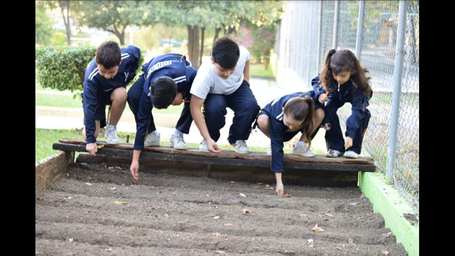 2nd grade Spiritual Growth activity-2nd-grade-spiritual-growth-activity-Siembra del trigo 04