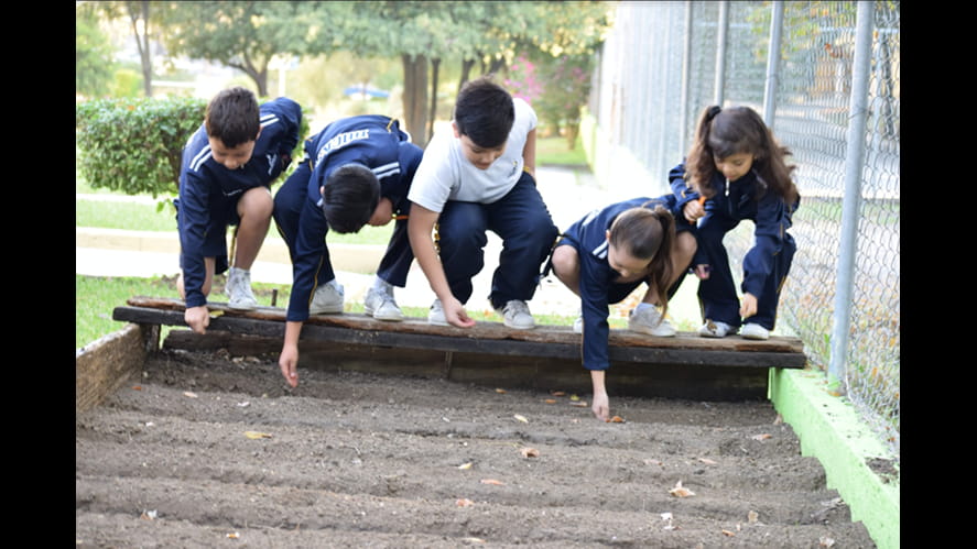 2nd grade Spiritual Growth activity - 2nd-grade-spiritual-growth-activity