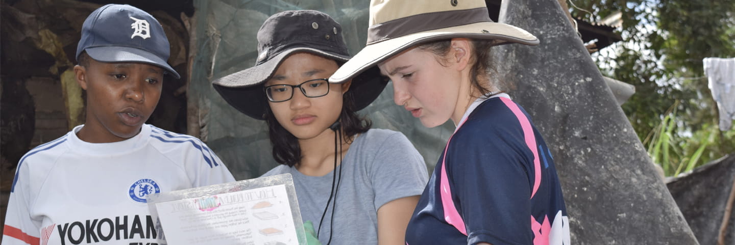 Group digging building foundations
