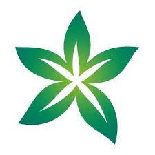 Dubai Healthcare city Authority