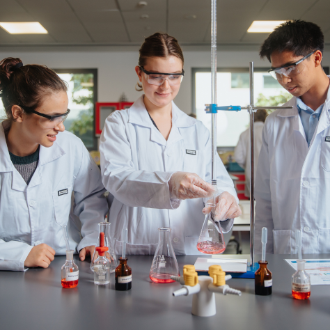 The Benefits of the IB in Helping Prepare Students for the Future | SISD School - The Benefits of the IB in Helping Prepare Students for the Future