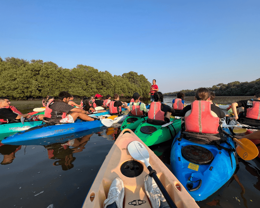 Why Dubai? | Swiss International Scientific School Dubai - 04 - Image-50-50 - Things to Do in Dubai