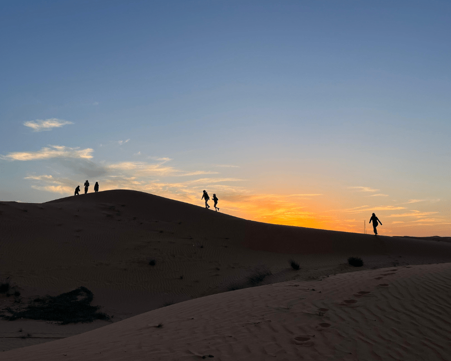 Sustainability | Swiss International Scientific School Dubai - Promo With Collage