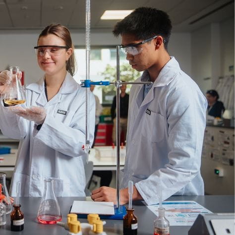 Boarding Options in Dubai | SISD - 05 - Feature Quote