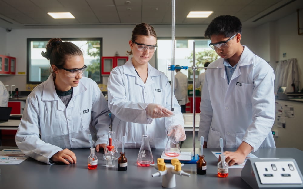 The 10 Attributes of an IB Learner | SISD - The 10 Attributes of an IB Learner