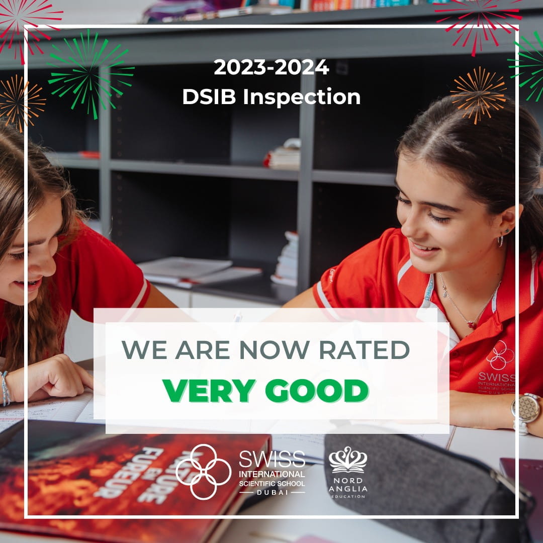 DSIB-Inspection-Rating