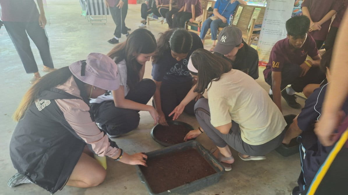 Bamboo School 5jpg