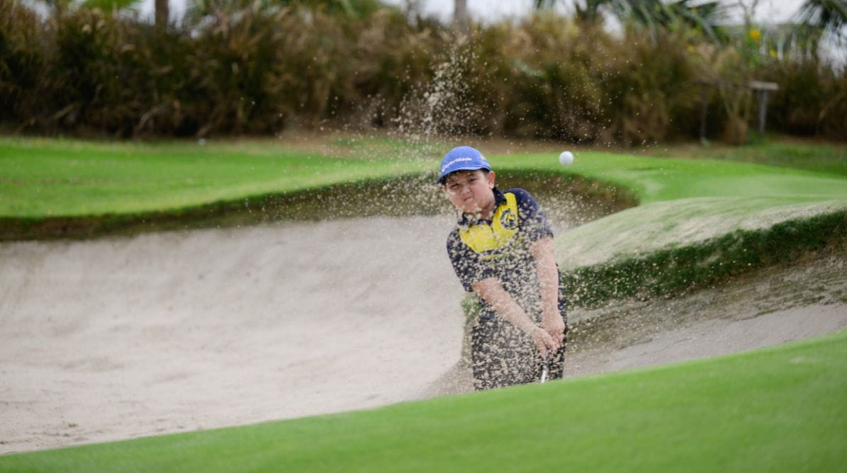 PE Carousel Full 2jpg