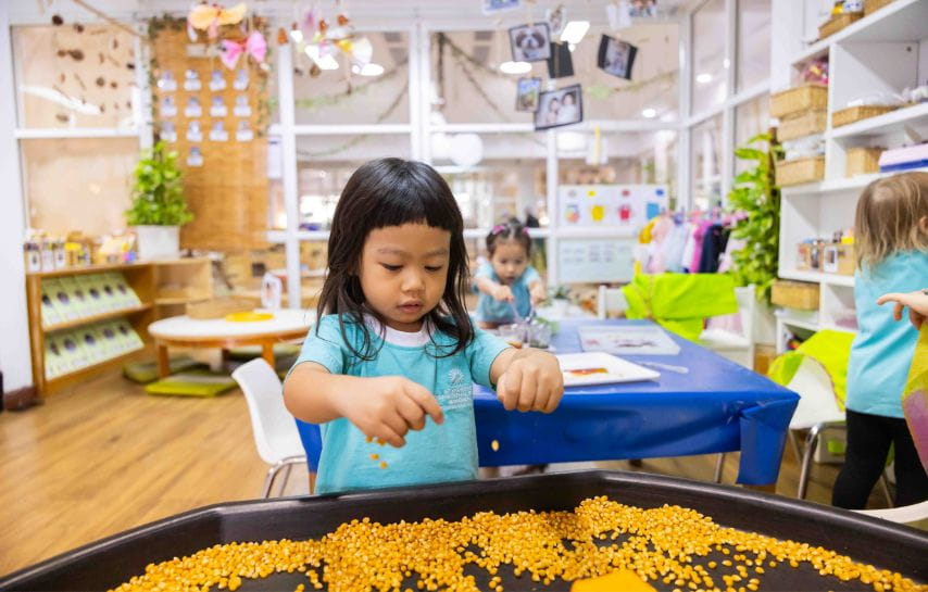 Facility Gallery - Primary | St Andrews International School Bangkok - Main Gallery