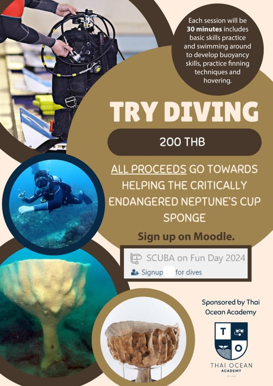 scuba