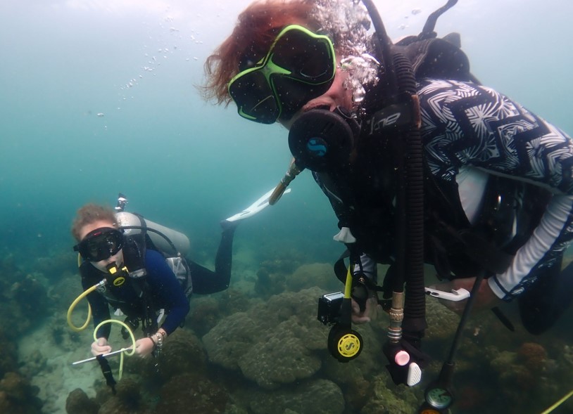 scuba