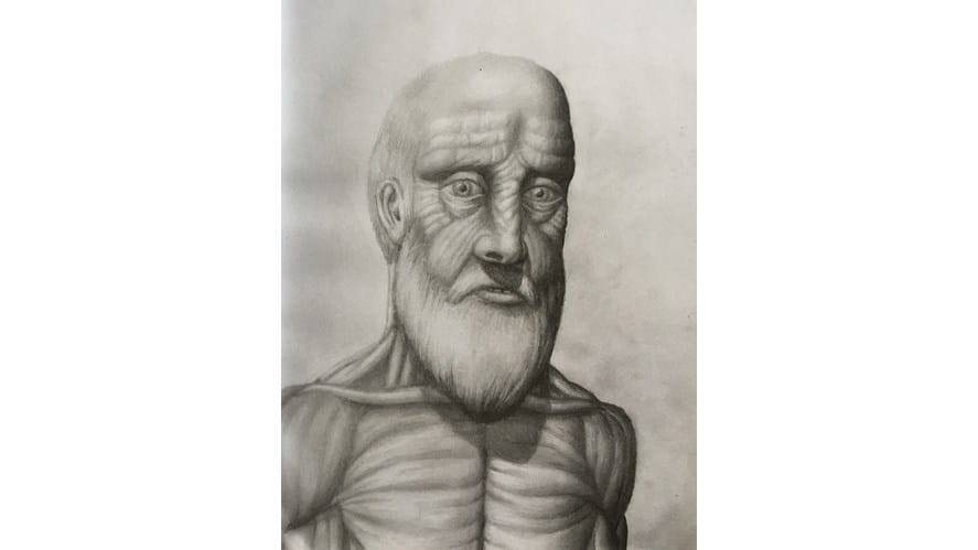 116 art 9 2