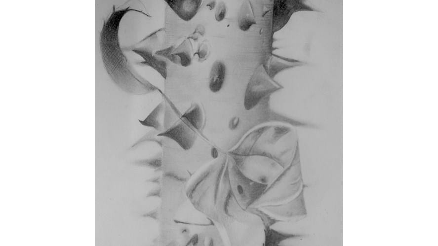 17918 art 2