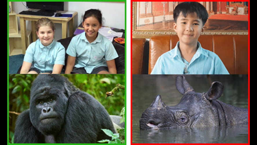 Endangered Primary School House Mascots-endangered-primary-school-house-mascots-82129798