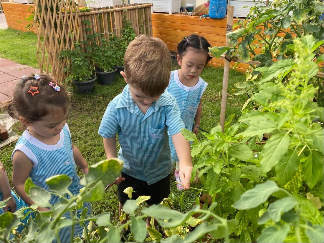 Green Fingers | St Andrews - Green Fingers