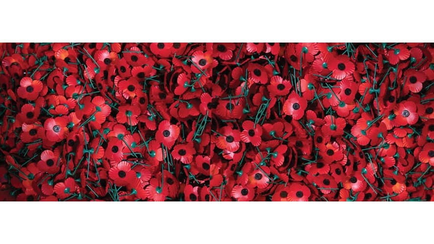 Poppies 201