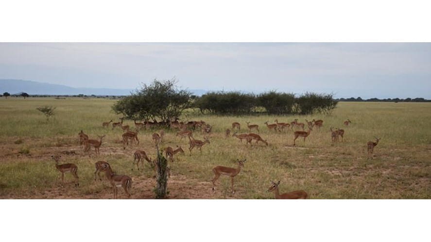 28576232_10156144834339719_7869951928091884765_n