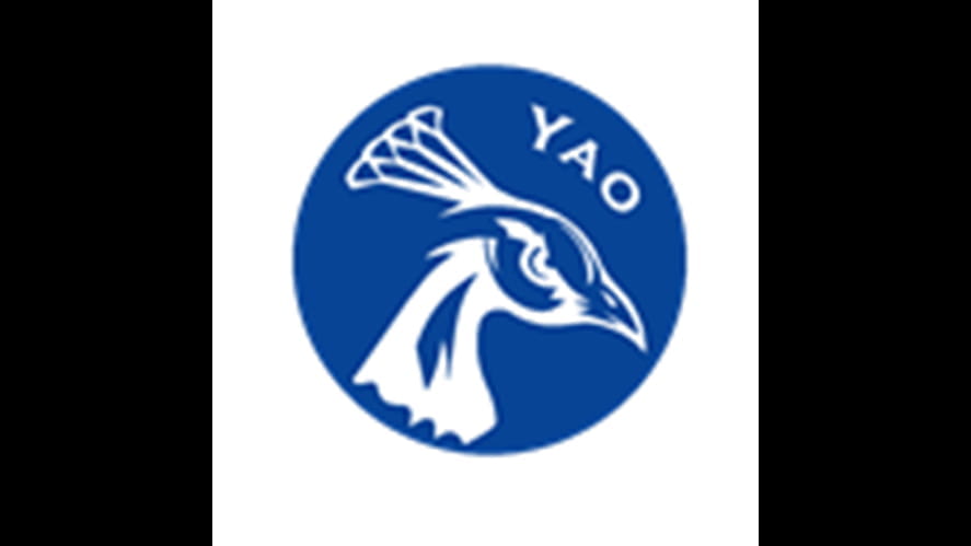 pasted image 0 3 yao