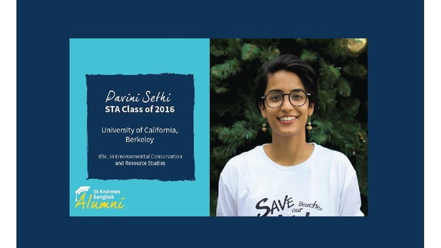 Pavini Page link image01