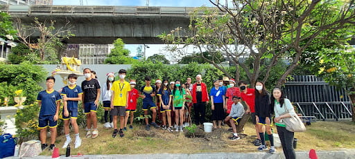 Planting a Golden Shower Tree