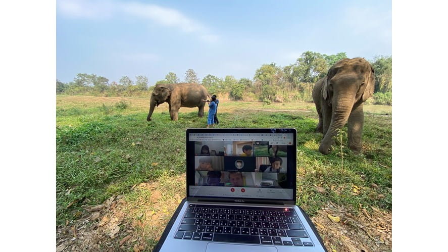 Primary School are on a mission to help Gentle Giants of Asia-primary-school-are-on-a-mission-to-help-gentle-giants-of-asia-Edit Ele Zoom