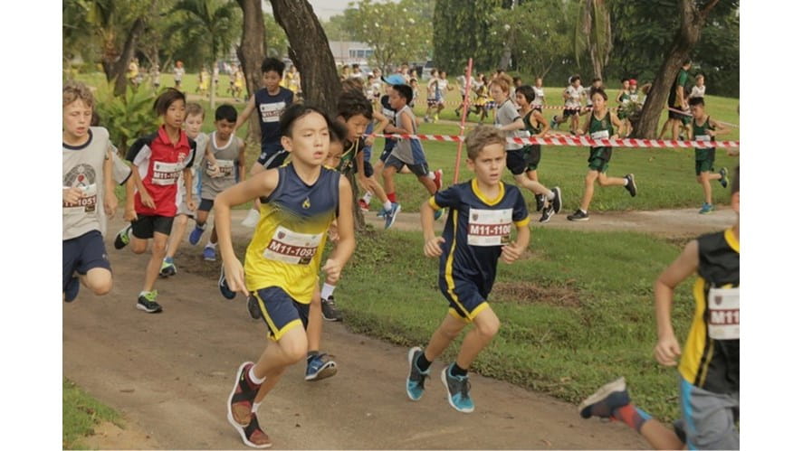 cross 1