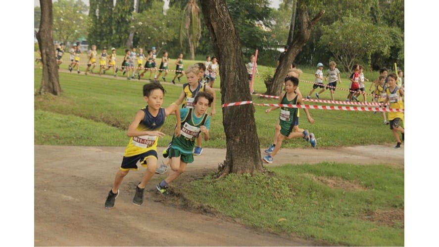 cross 2