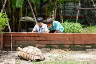 Academic Excellence | St Andrews - Visual Time Line Tabs