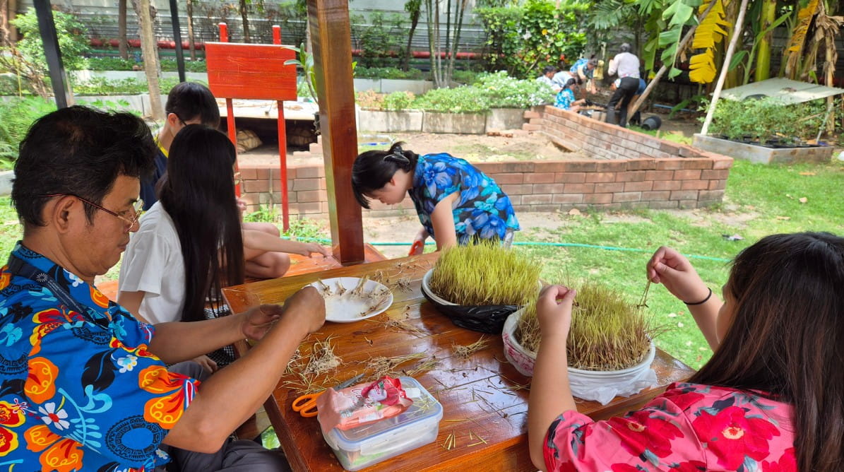 Year 7 Japanese class students create a rice paddy field on campus, celebrating Earth Day 2025 - Rice paddy field