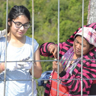 St Andrews International School Bangkok | Nord Anglia - Feature Cards Pattern