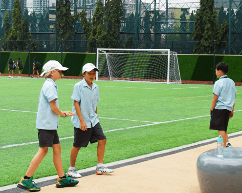 school transitions - school transitions