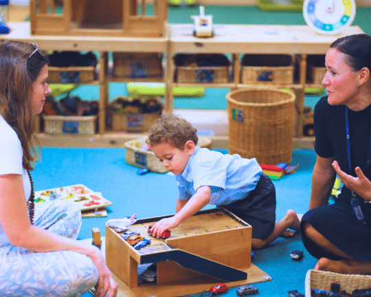 school transitions - school transitions