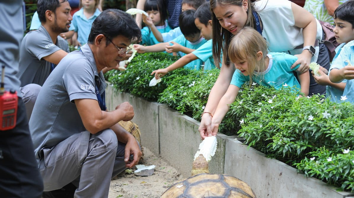 Meet the STA shell-ebrities: Amber and Neo - Amber and Neo