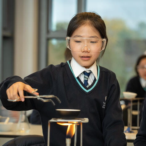 Open Days - WHY TBSW - OD