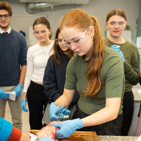 BSW_Warsaw_Oct 2025_290