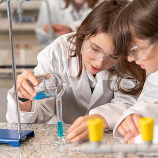 Międzynarodowa Szkoła w Warszawie | The British School Warsaw - 051 - Feature Cards Pattern