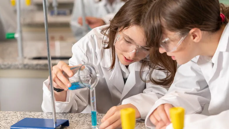 Międzynarodowa Szkoła w Warszawie | The British School Warsaw - 051 - Feature Cards Pattern