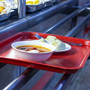 lunch tray